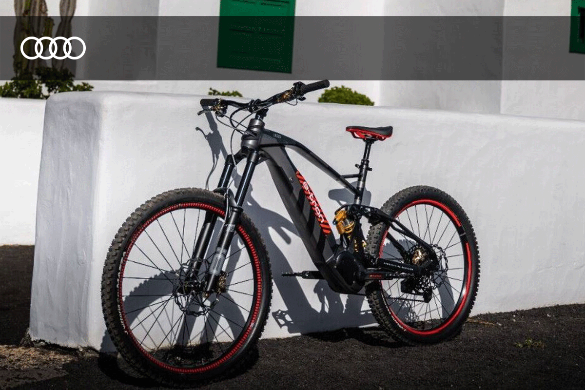 stiglmayr_audi electric mountain bike